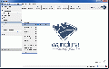 Bing example 1.gif